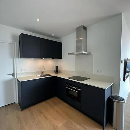 Apartment Nieuw-brittenburg I